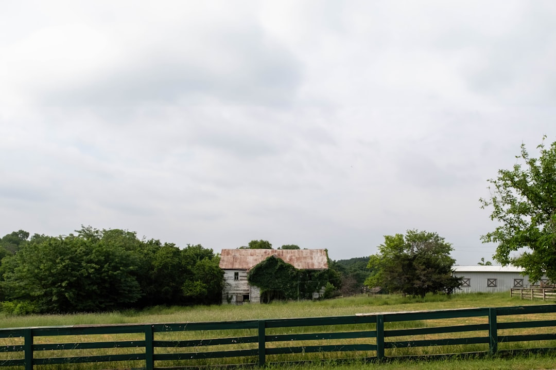 Abandoned farmhouse surrounded by greenery and a wooden fence in Parker County, Texas.